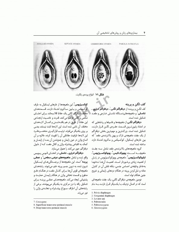 بیماری‌های زنان و روش‌های تشخیصی آن ویراست دوم