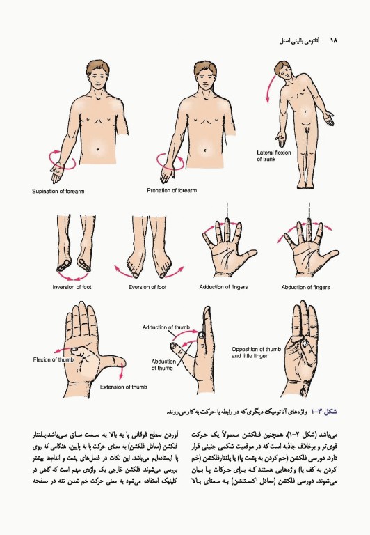 آناتومی بالینی اسنل 2019 دکتر حسن زاده جلد اول تنه