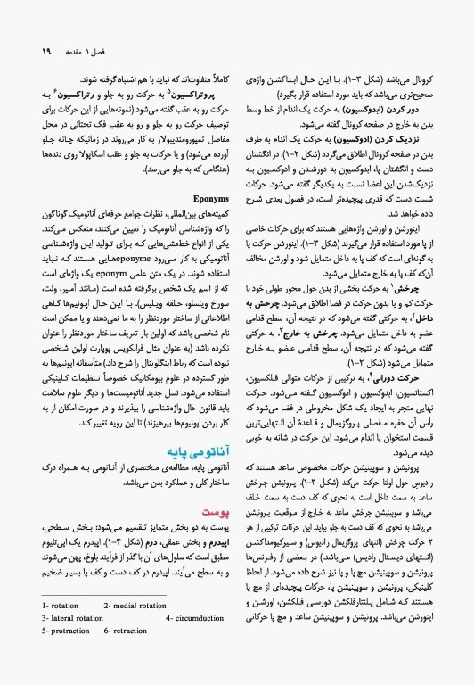 آناتومی بالینی اسنل 2019 دکتر حسن زاده جلد اول تنه