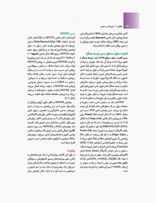 جنین‌شناسی پزشکی لانگمن 2019 دکتر حسن زاده نشر ارجمند