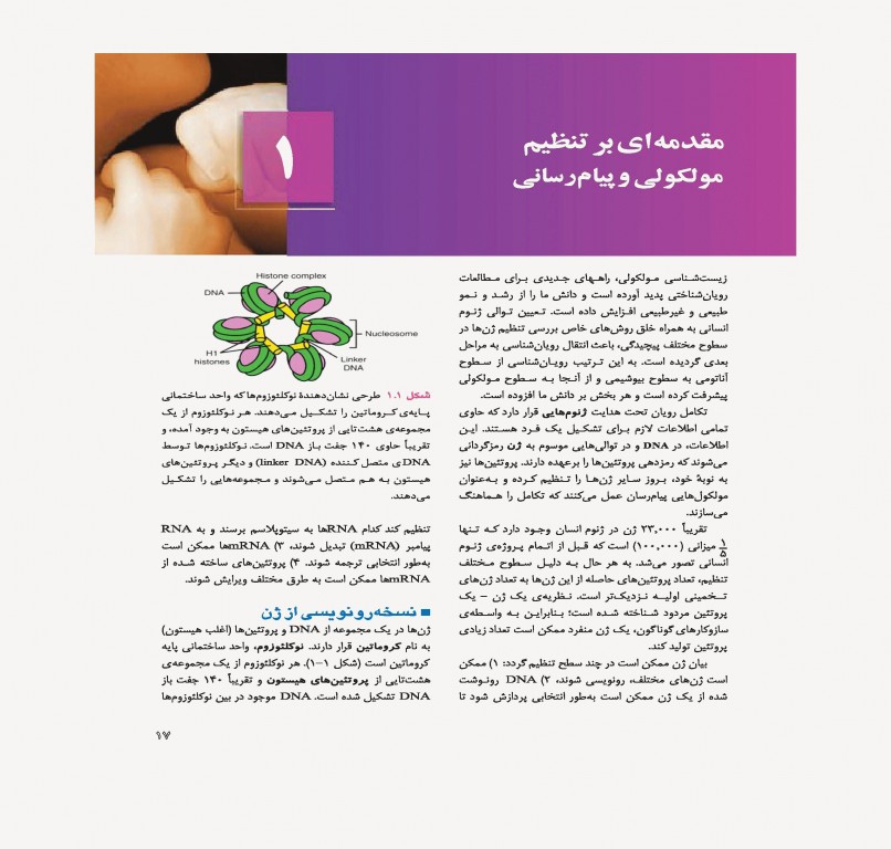 جنین‌شناسی پزشکی لانگمن 2019 دکتر حسن زاده نشر ارجمند