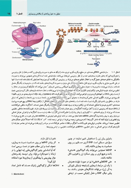 آسیب‌شناسی پایه عمومی رابینز 2017 نشر ارجمند