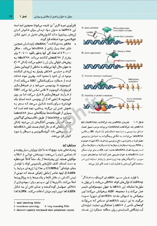 آسیب‌شناسی پایه عمومی رابینز 2017 نشر ارجمند