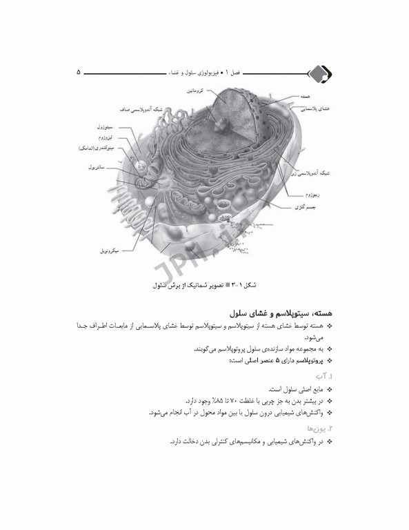 مرور جامع DRS فیزیولوژی
