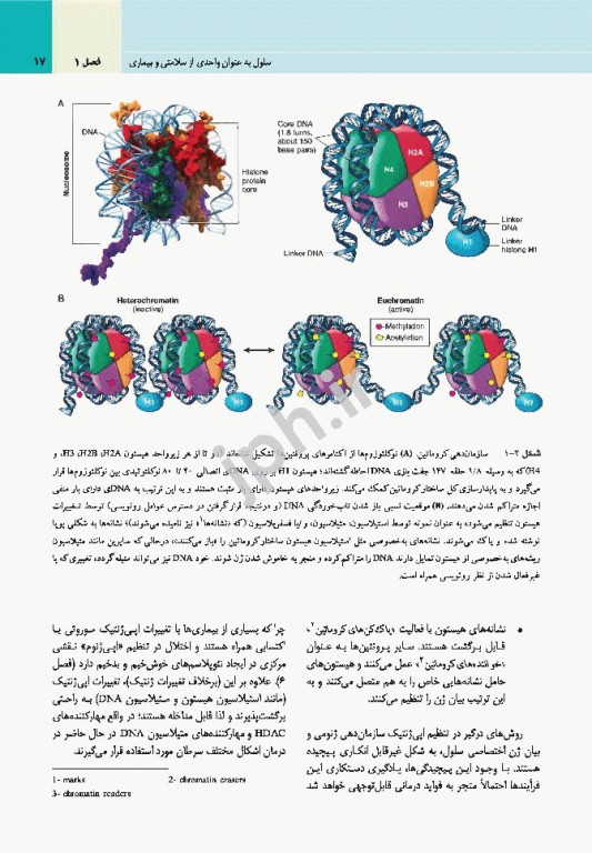 آسیب‌شناسی پایه عمومی رابینز 2017 نشر ارجمند
