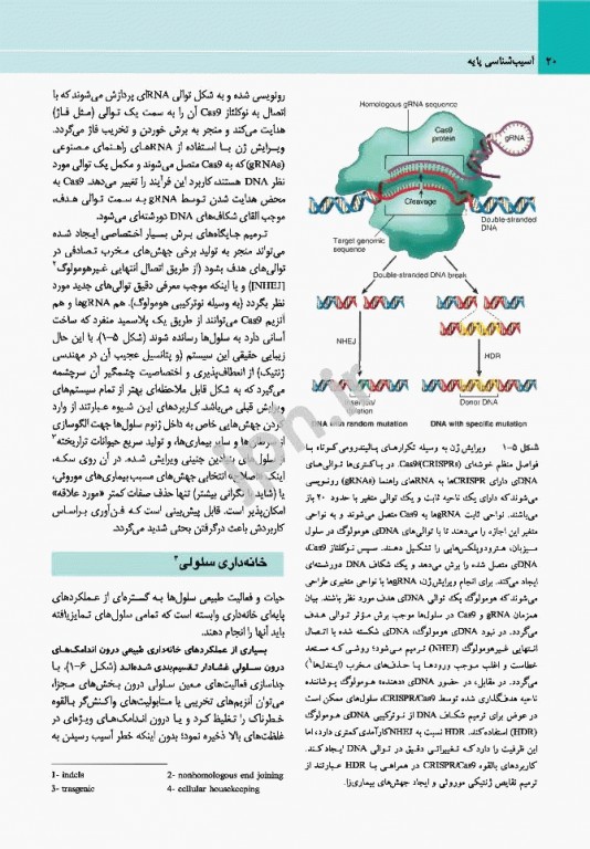 آسیب‌شناسی پایه عمومی رابینز 2017 نشر ارجمند