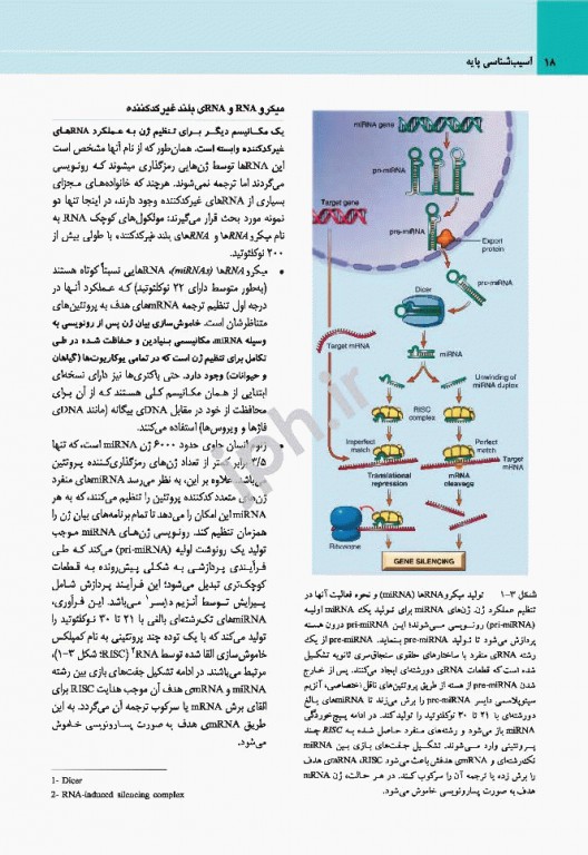 آسیب‌شناسی پایه عمومی رابینز 2017 نشر ارجمند