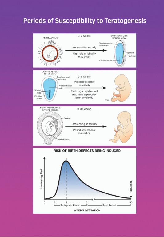 جنین‌شناسی پزشکی لانگمن 2024 دکتر قاضی جهانی