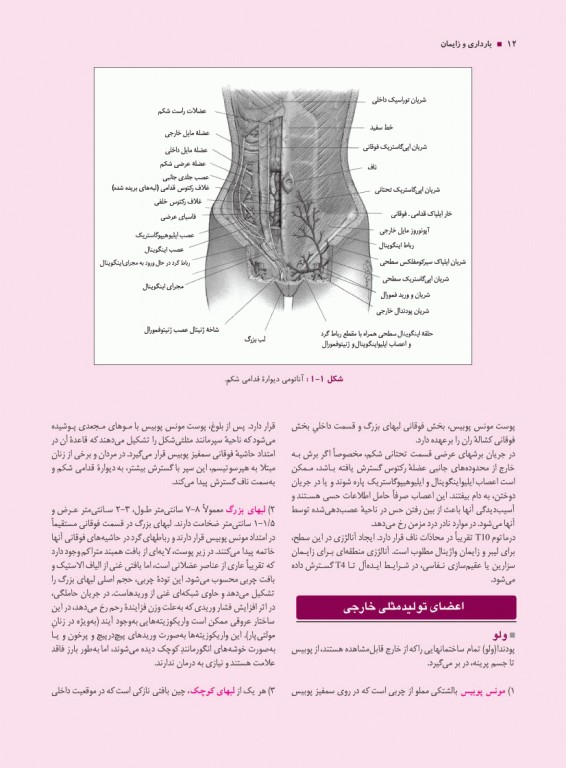 درسنامه جامع 7 جلدی آموزش کارشناسی ارشد مامایی گلبان