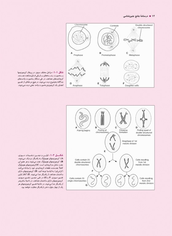 درسنامه جامع 7 جلدی آموزش کارشناسی ارشد مامایی گلبان