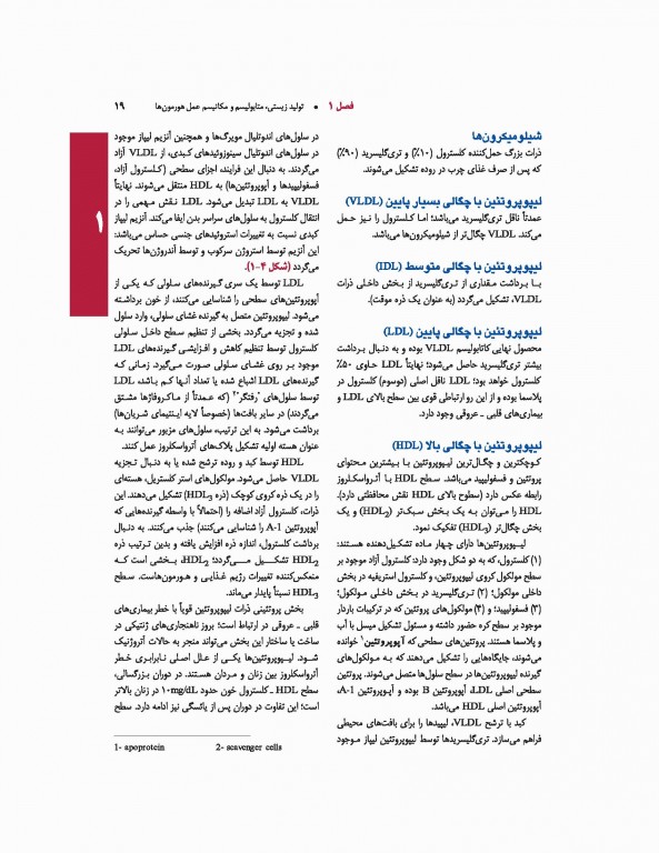 اندوکرینولوژی بالینی زنان و ناباروری اسپیروف 2020 جلد اول