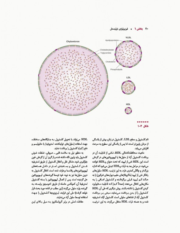 اندوکرینولوژی بالینی زنان و ناباروری اسپیروف 2020 جلد اول
