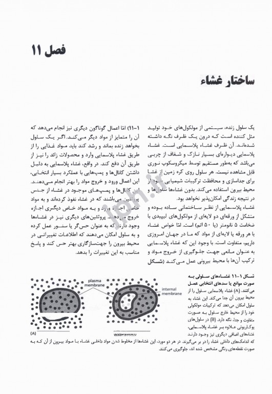 مبانی زیست‌شناسی سلولی آلبرتس 2019 جلد2