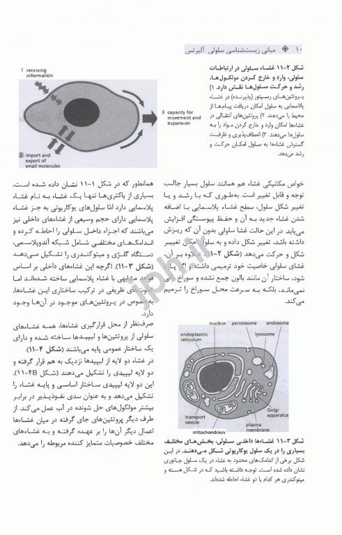 مبانی زیست‌شناسی سلولی آلبرتس 2019 جلد2