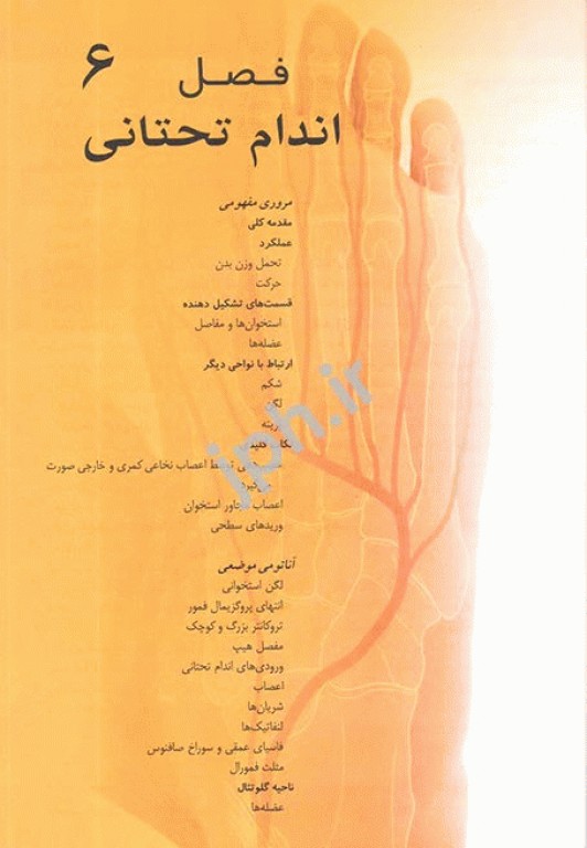 آناتومی گری 2020 برای دانشجویان جلد دوم اندام ترجمه دکتر مهدی‌زاده