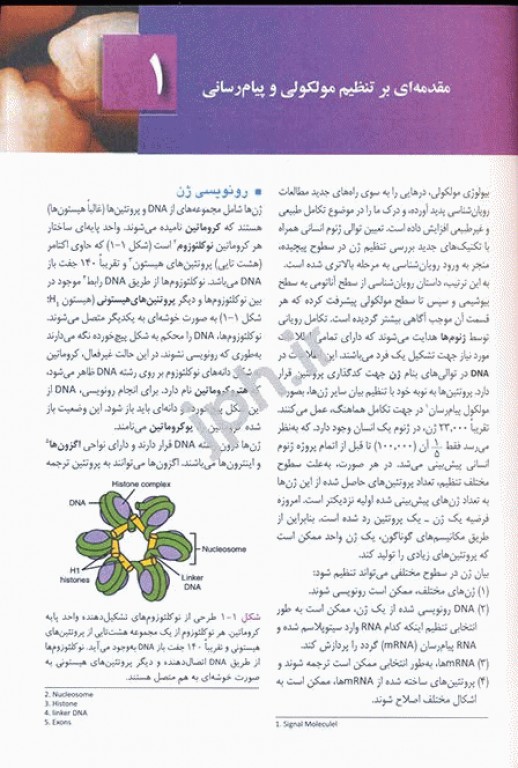 رویان‌شناسی پزشکی لانگمن 2019 ویرایش چهاردهم آرتین طب