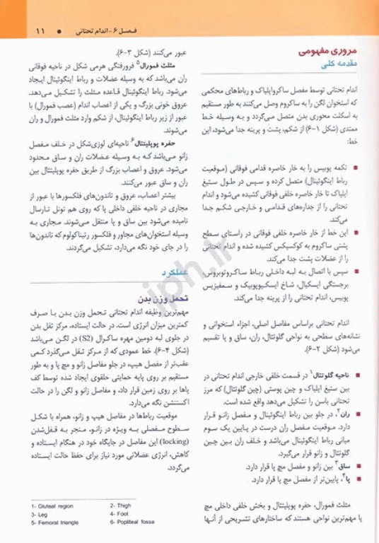 آناتومی گری 2020 برای دانشجویان جلد اول تنه ترجمه دکتر مهدی‌زاده