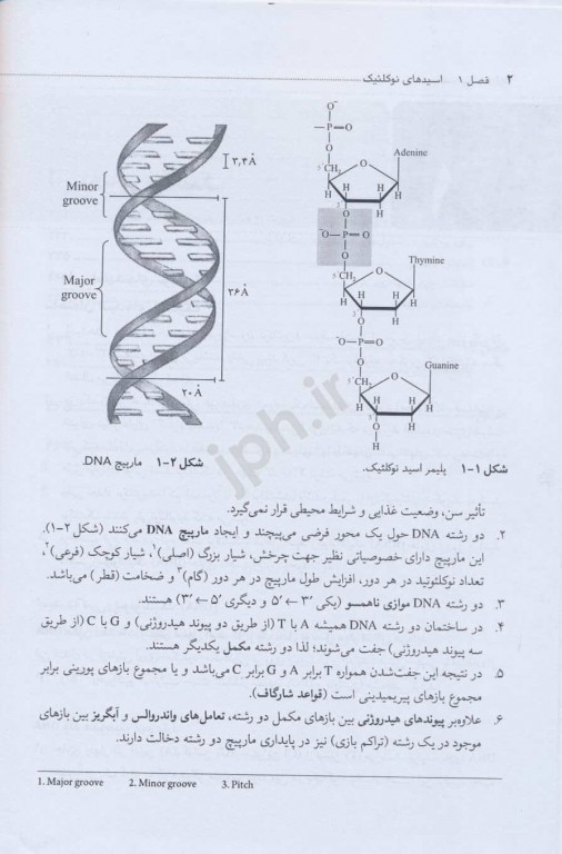 ضروریات بیوشیمی جلد پنجم بیولوژی مولکولی دکتر محمدی