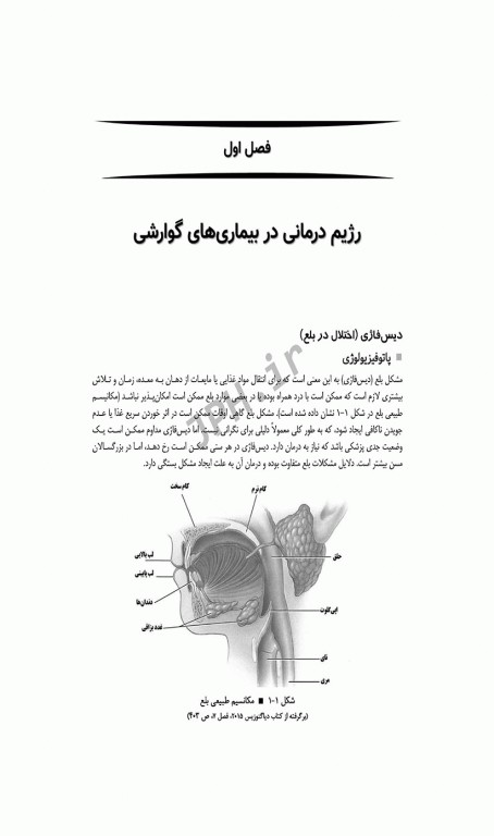 تغذیه درمانی در بیماری‌ها دکتر شیدفر