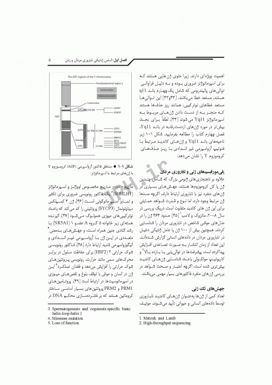 ژنتیک ناباروری انسانی