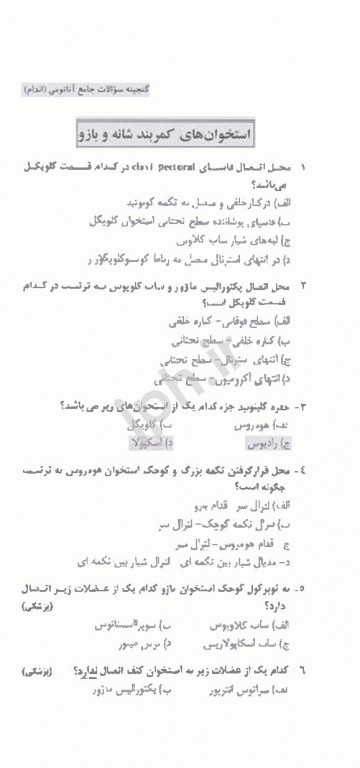 گنجینه سوالات جامع آناتومی اندام دکتر اسماعیل‌نژاد مقدم