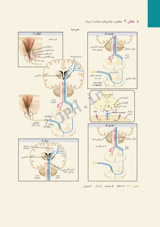پرستاری داخلی و جراحی برونر و سودارث 2018 جلد3 مفاهیم و چالش‌های مراقبت از بیمار