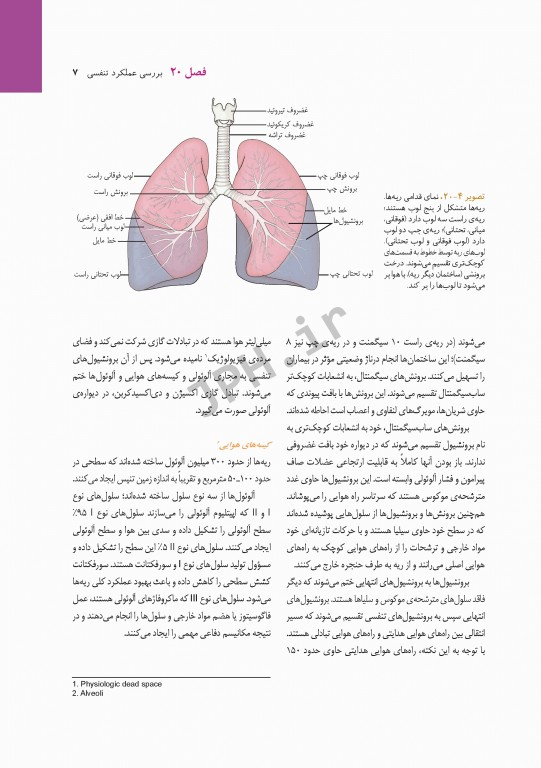 پرستاری داخلی و جراحی برونر و سودارث 2018 جلد5 تنفس و تبادلات گازی