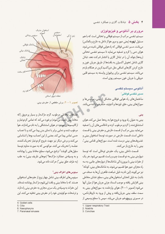 پرستاری داخلی و جراحی برونر و سودارث 2018 جلد5 تنفس و تبادلات گازی