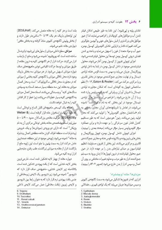 پرستاری داخلی و جراحی برونر و سودارث 2018 جلد12 کلیه و مجاری ادراری