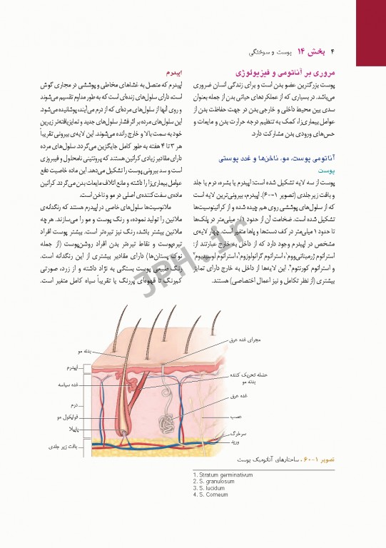 پرستاری داخلی و جراحی برونر و سودارث 2018 جلد14 پوست و سوختگی