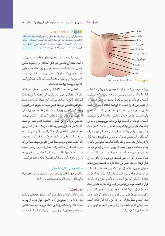 پرستاری داخلی و جراحی برونر و سودارث 2018 جلد13 تولید مثل و بیماری‌های پستان