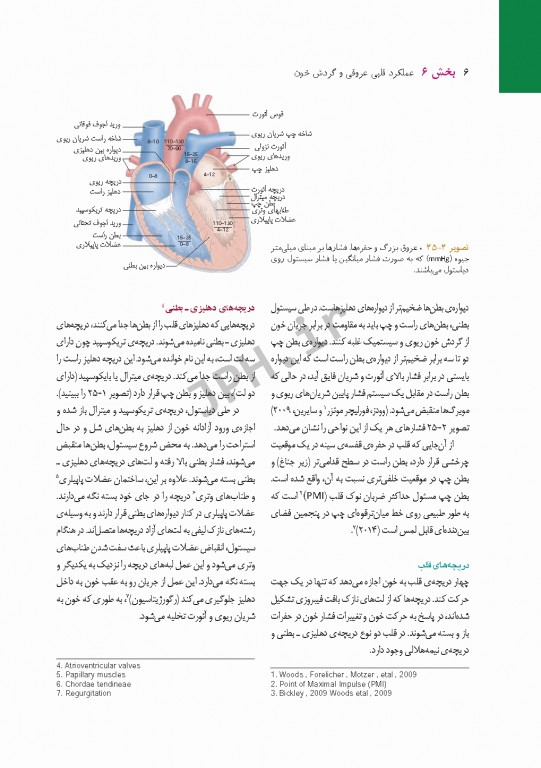 پرستاری داخلی و جراحی برونر و سودارث 2018 جلد6 قلب و عروق