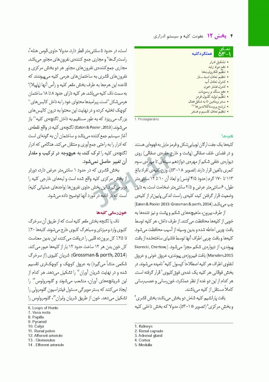 پرستاری داخلی و جراحی برونر و سودارث 2018 جلد12 کلیه و مجاری ادراری