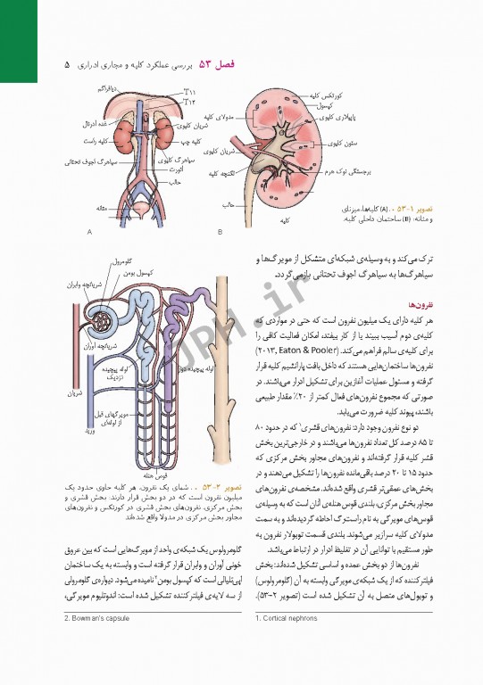 پرستاری داخلی و جراحی برونر و سودارث 2018 جلد12 کلیه و مجاری ادراری