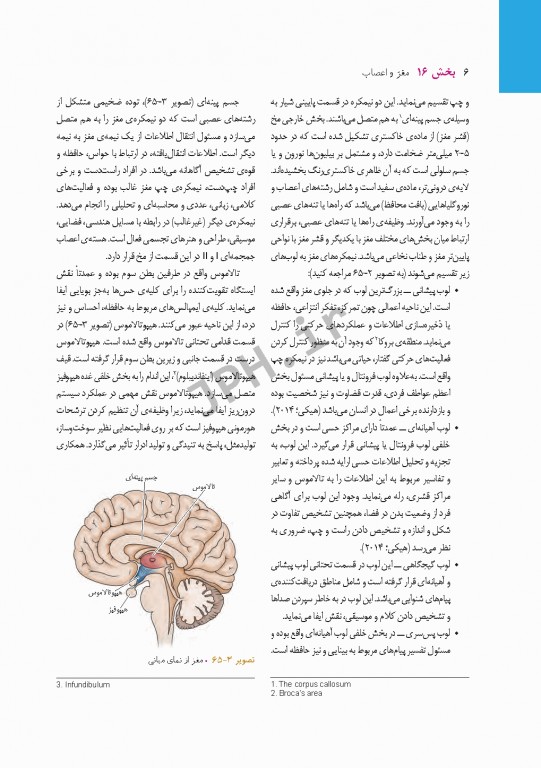 پرستاری داخلی و جراحی برونر و سودارث 2018 جلد16 مغز و اعصاب