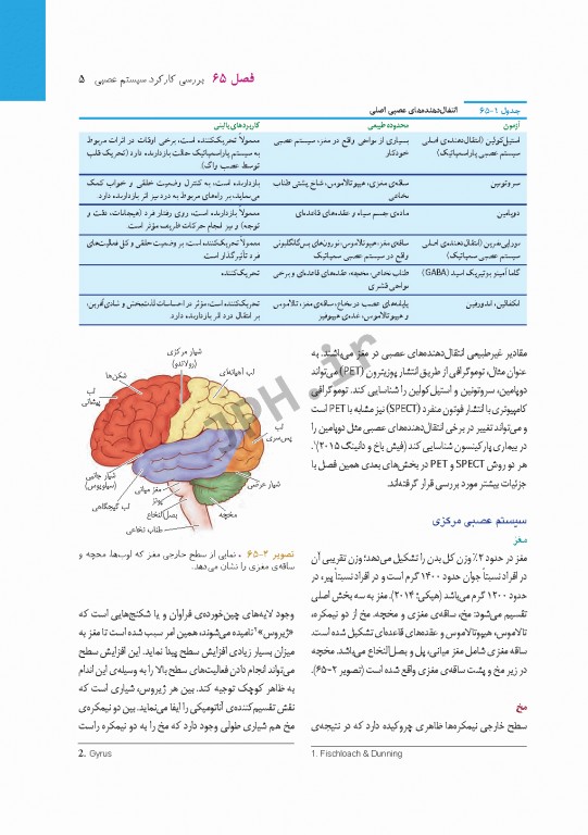 پرستاری داخلی و جراحی برونر و سودارث 2018 جلد16 مغز و اعصاب