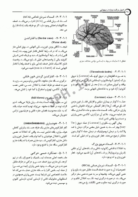 اصول مراقبت ویژه در بیهوشی