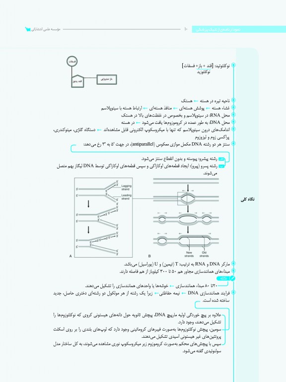 نمودارنامه ژنتیک پزشکی