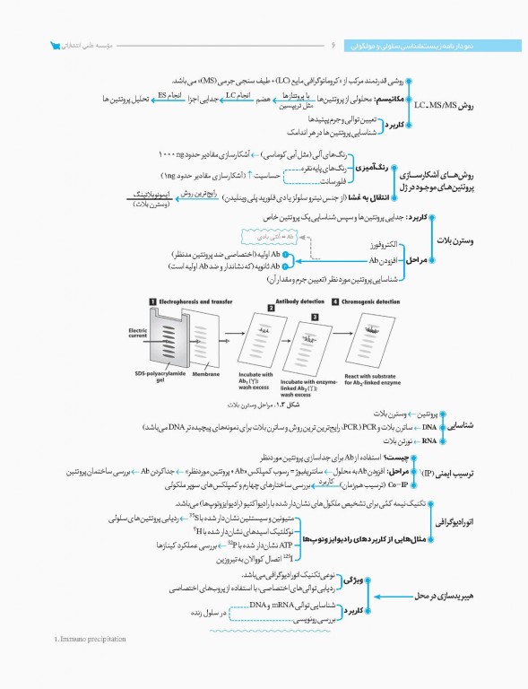 نمودارنامه زیست‌شناسی سلولی مولکولی لودیش