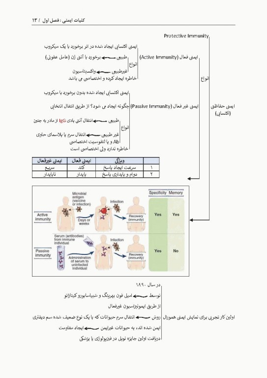 نمودارنامه ایمنی‌شناسی بر اساس ایمونولوژی ابوالعباس و جنوی