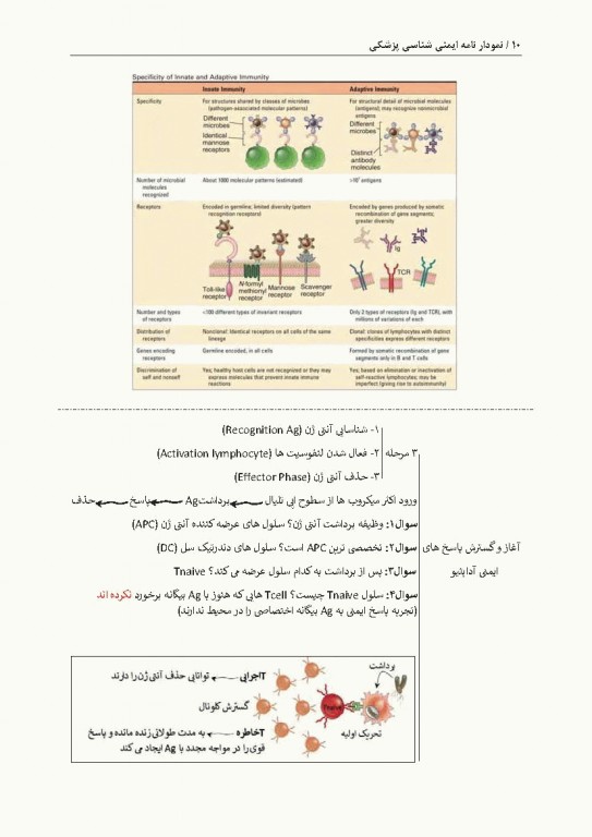 نمودارنامه ایمنی‌شناسی بر اساس ایمونولوژی ابوالعباس و جنوی