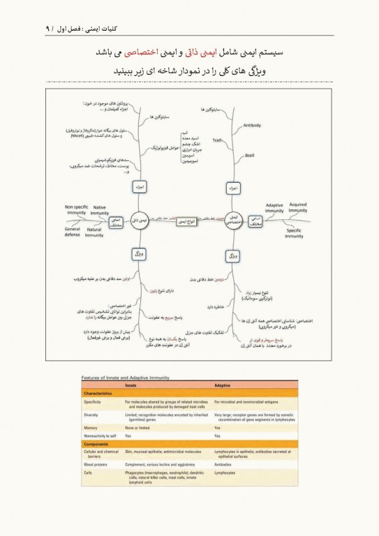 نمودارنامه ایمنی‌شناسی بر اساس ایمونولوژی ابوالعباس و جنوی