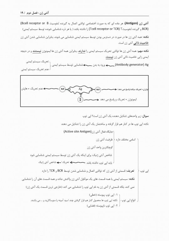 نمودارنامه ایمنی‌شناسی بر اساس ایمونولوژی ابوالعباس و جنوی