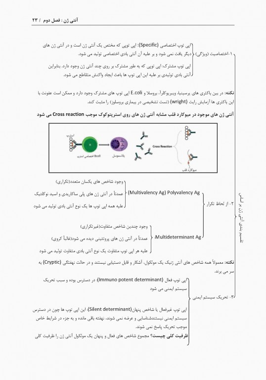 نمودارنامه ایمنی‌شناسی بر اساس ایمونولوژی ابوالعباس و جنوی