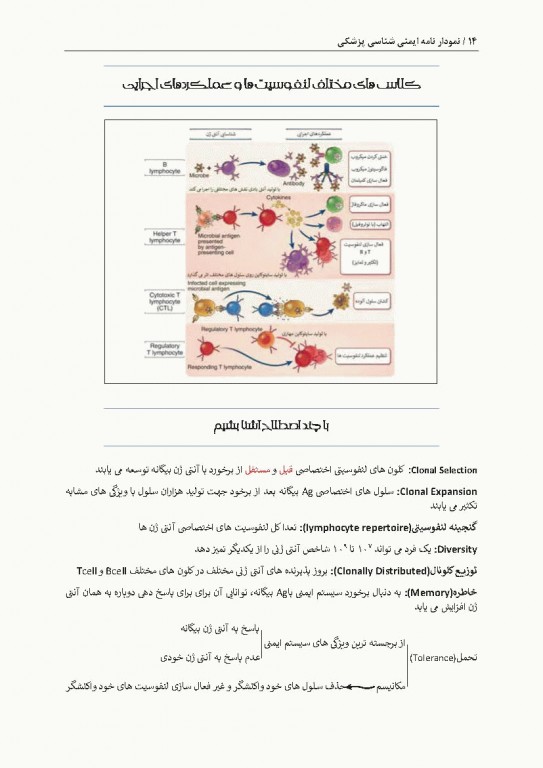 نمودارنامه ایمنی‌شناسی بر اساس ایمونولوژی ابوالعباس و جنوی