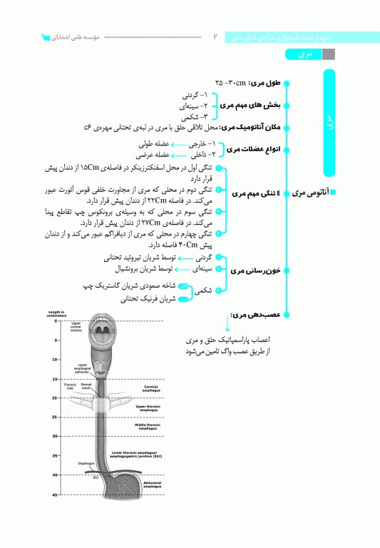 نمودارنامه تکنولوژی جراحی اتاق عمل