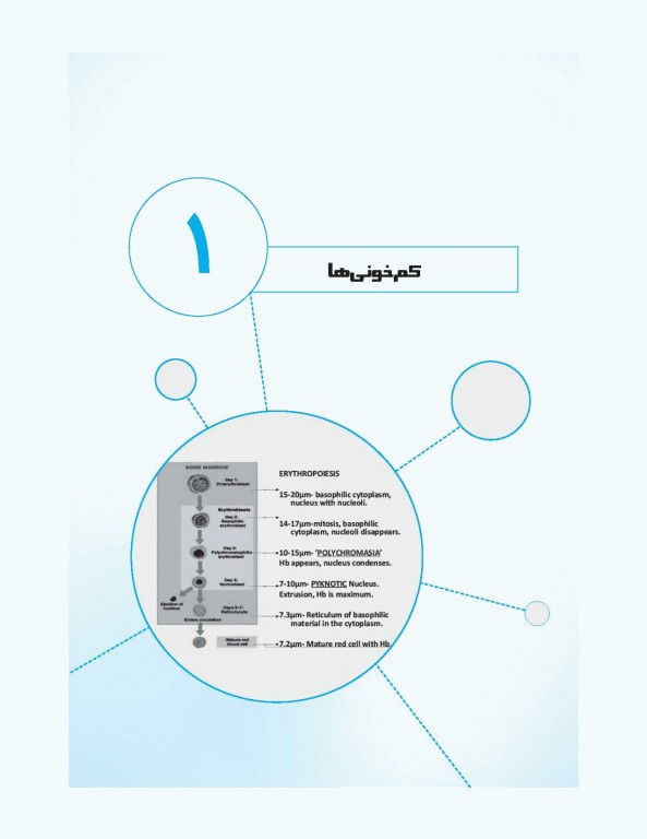 نمودارنامه خون‌شناسی