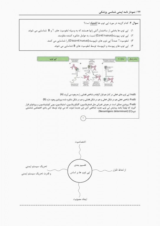 نمودارنامه ایمنی‌شناسی بر اساس ایمونولوژی ابوالعباس و جنوی