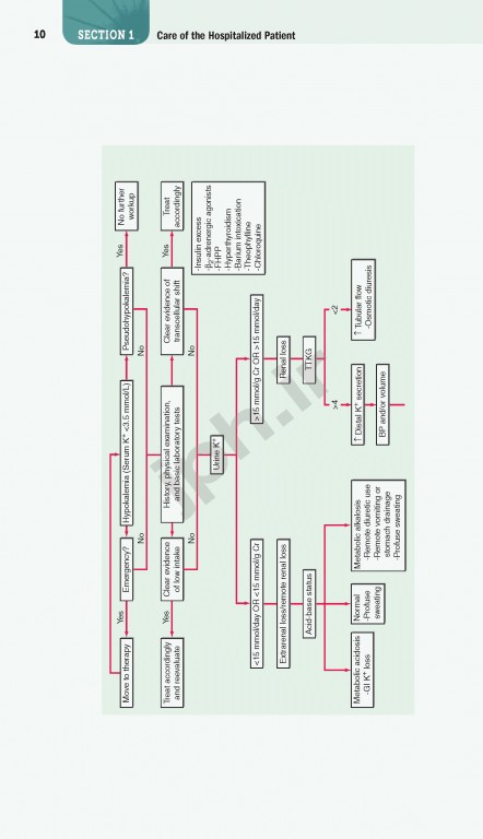 هندبوک اصول طب داخلی هاریسون 2020 |  Harrisons Manual of Medicine 20th Edition