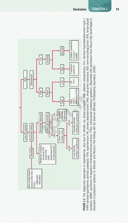 هندبوک اصول طب داخلی هاریسون 2020 |  Harrisons Manual of Medicine 20th Edition